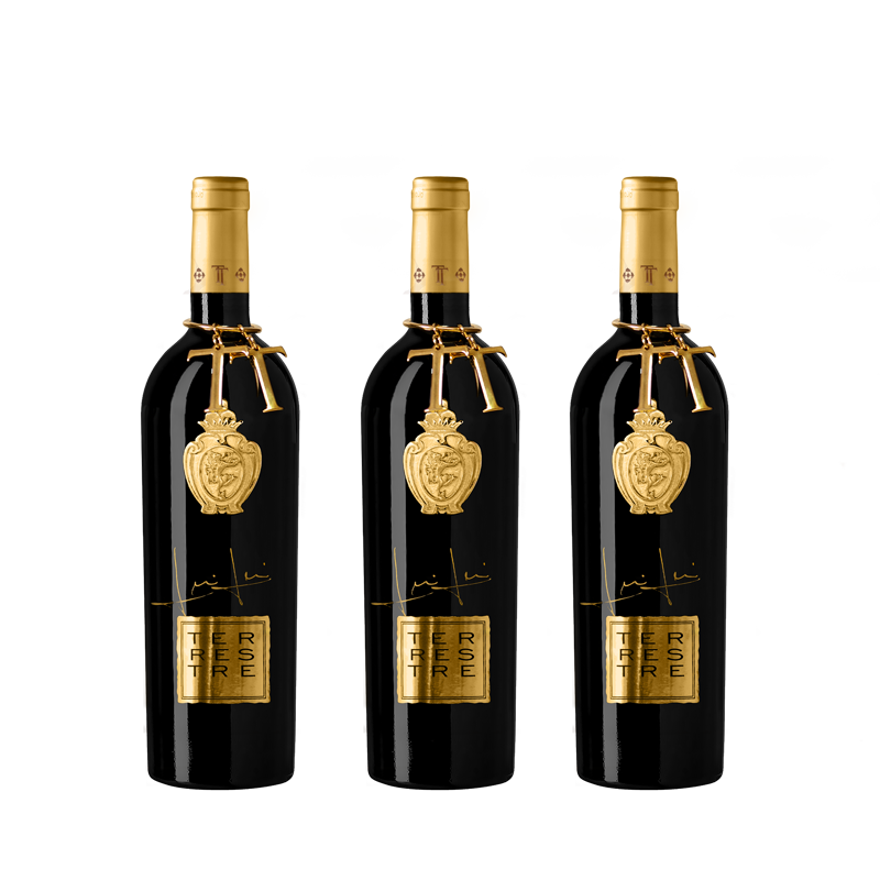  2019 Tenuta Torciano Tuscan Blend "Terrestre", Tuscany - 3 bottles